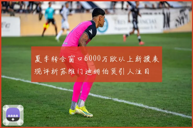 夏季转会窗口6000万欧以上新援表现评析苏维门迪姆伯莫引人注目