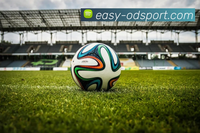 OD体育平台生态图